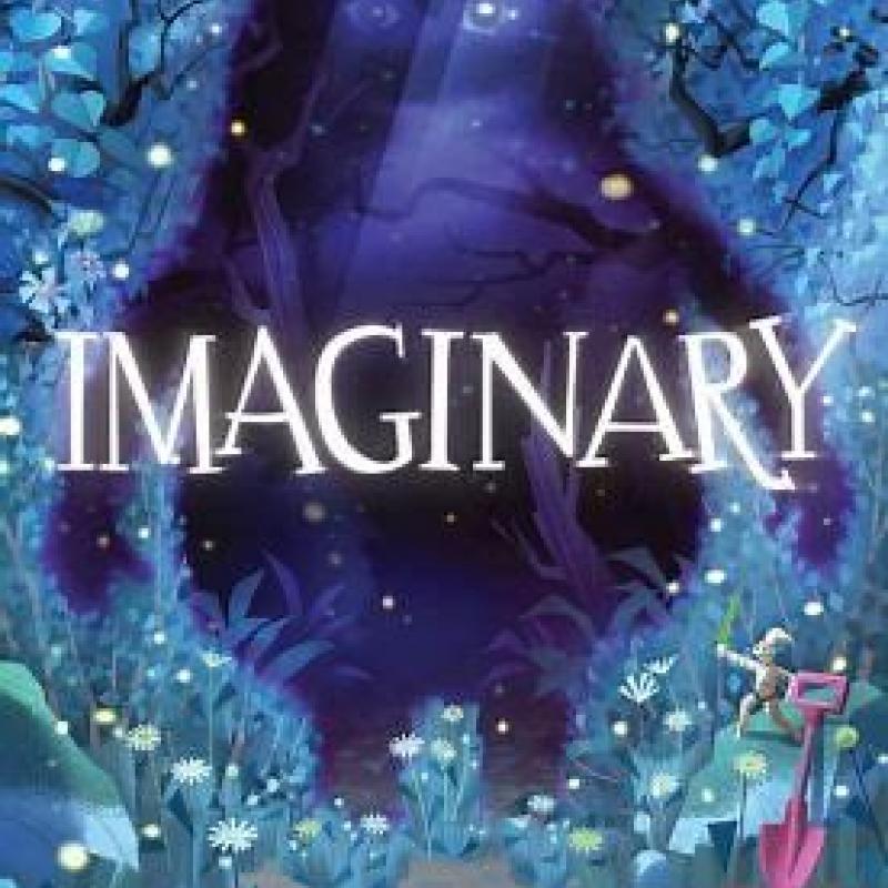 Imaginary image