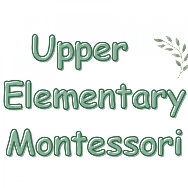 Upper Elementary Montessori