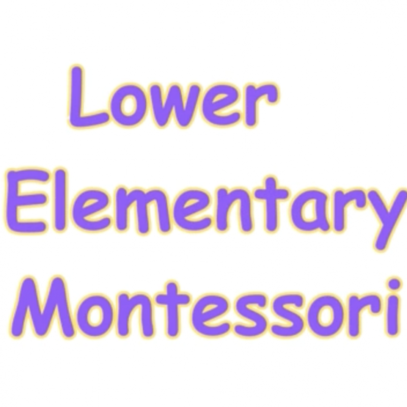 Lower Elementary Montessori